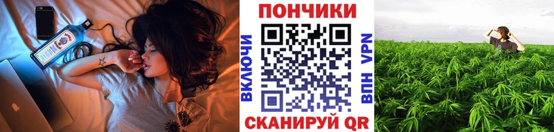 Наркошоп купить Канабис  APVP  Гашиш  Мефедрон  АМФЕТАМИН  Галлюциногенные грибы  Кокаин  Новоузенск