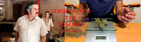стаф Баксан