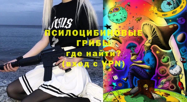 стаф Баксан