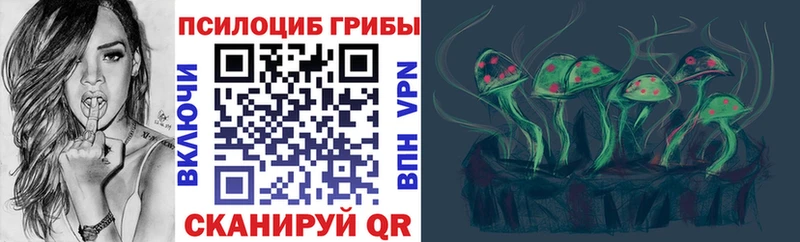 Псилоцибиновые грибы Psilocybine cubensis  Купить  Новоузенск 