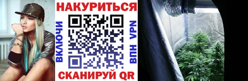 МАРИХУАНА план  Купить где  Новоузенск 
