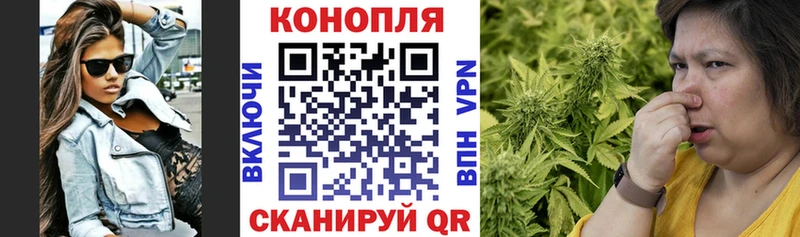 Каннабис OG Kush Новоузенск